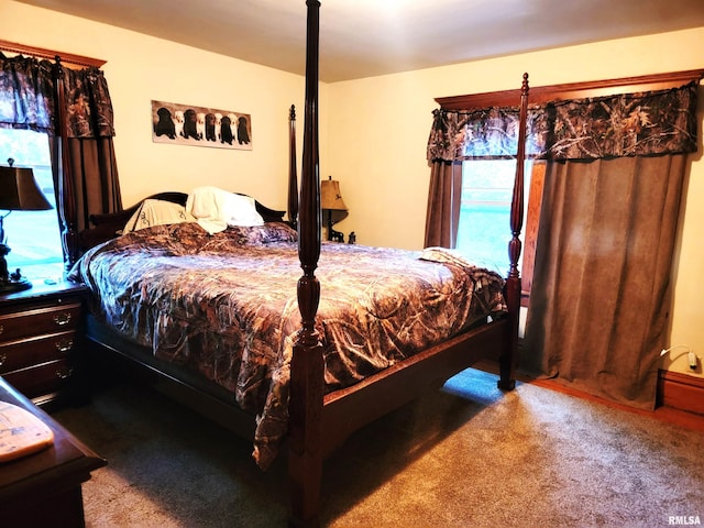 bedroom featuring carpet flooring and multiple windows