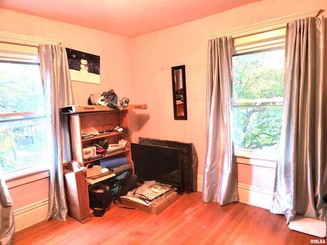 interior space with plenty of natural light and wood-type flooring