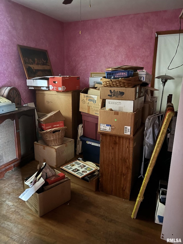 storage room with ceiling fan