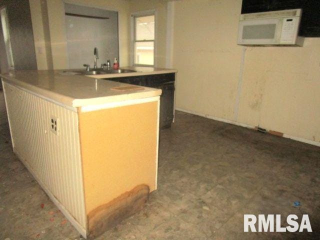 534 S Main St, Canton, IL 61520 - kitchen featuring a sink and white microwave