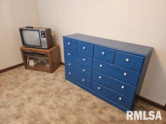 interior details with carpet flooring