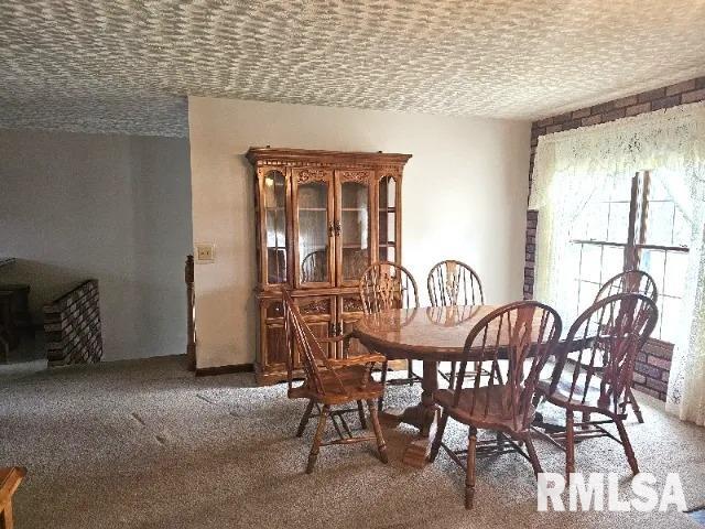 view of carpeted dining room