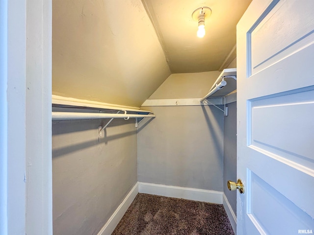 spacious closet featuring lofted ceiling and carpet floors