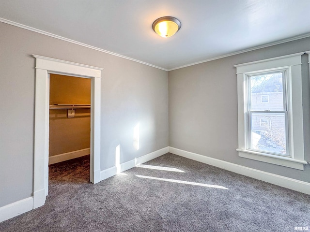 unfurnished bedroom featuring a spacious closet, a closet, carpet floors, and ornamental molding