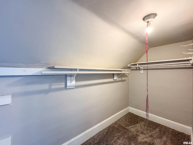 walk in closet with carpet floors and vaulted ceiling