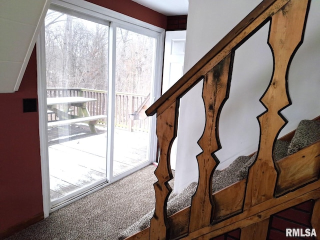 interior space with carpet floors