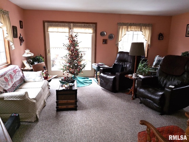 view of carpeted living room