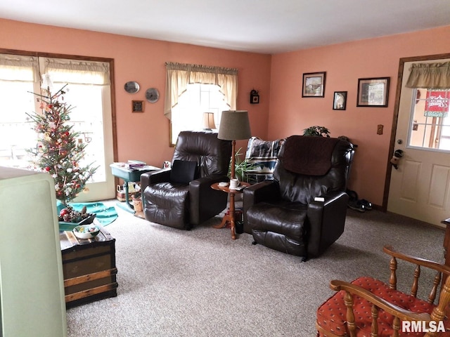 living room featuring carpet floors