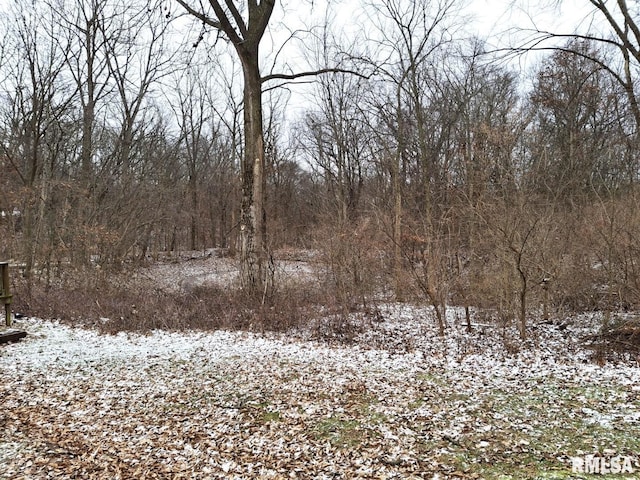 view of snow covered land