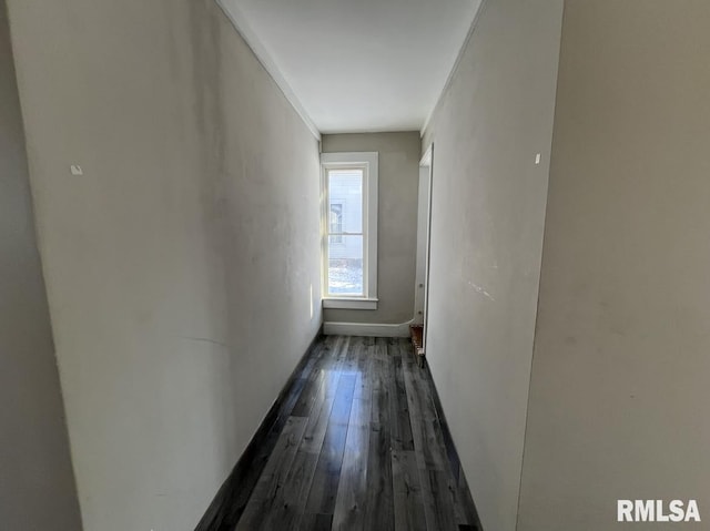 corridor with dark hardwood / wood-style floors