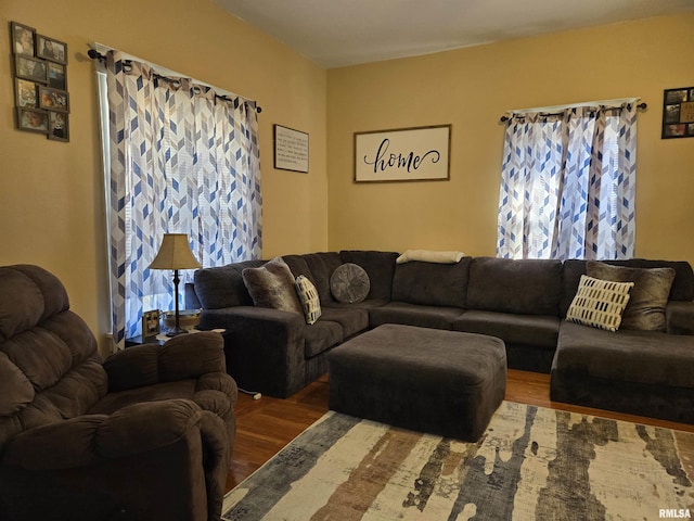 living room featuring wood-type flooring