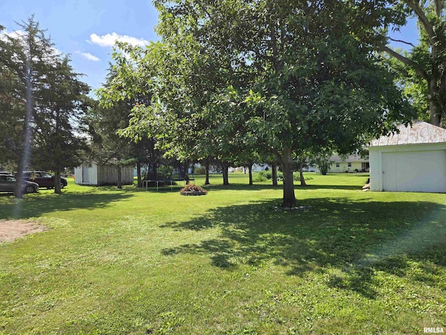 505 W Main St, La Harpe, IL 61450 - view of green lawn with a storage shed