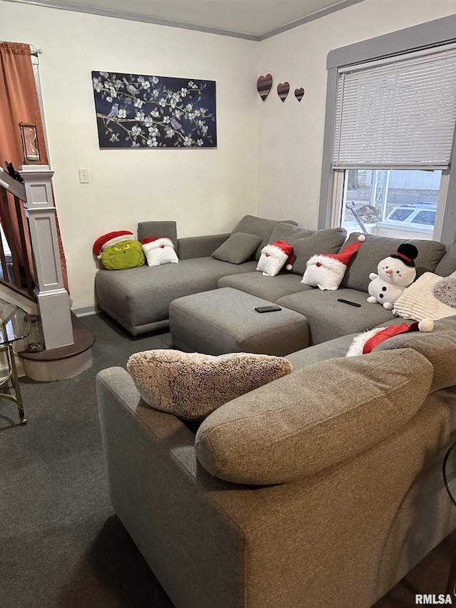 living area with crown molding and carpet flooring