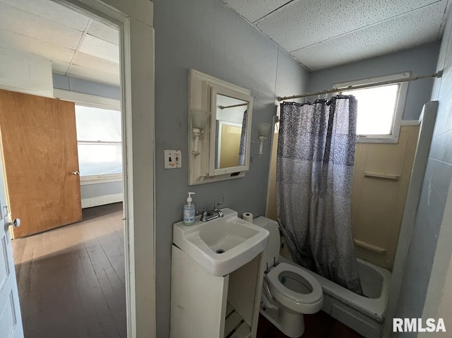 full bathroom featuring a paneled ceiling, vanity, hardwood / wood-style floors, toilet, and shower / tub combo with curtain