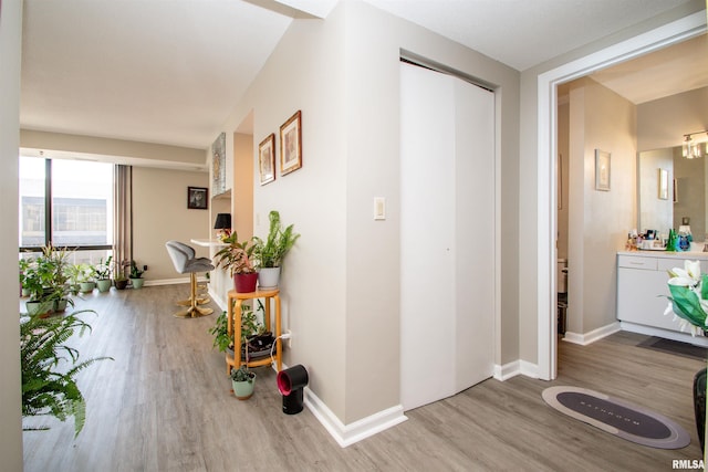 123 SW Jefferson St Unit E4W, Peoria, IL 61602 - corridor featuring wood finished floors and baseboards