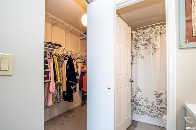 walk in closet with carpet flooring