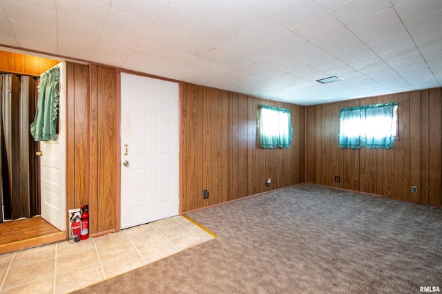 basement featuring wooden walls and carpet