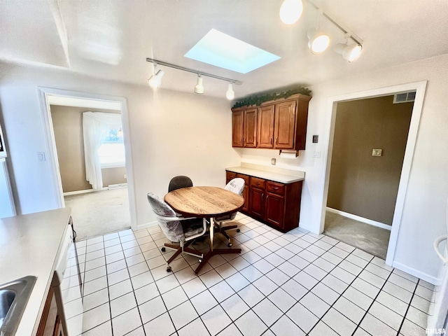 kitchen featuring light carpet, a skylight, and sink