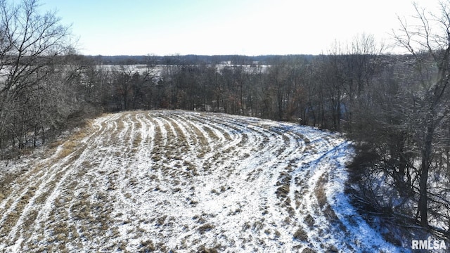 6404 S Martin Weber Rd, Glasford IL, 61533 land for sale