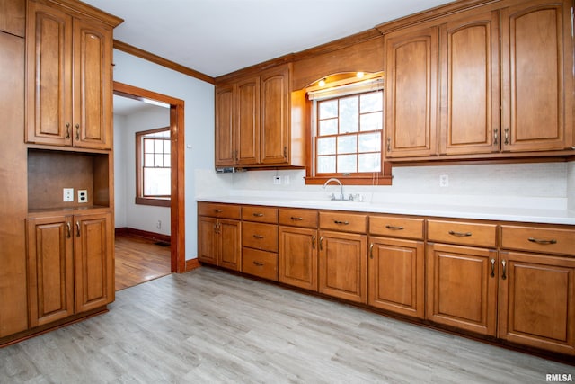 kitchen featuring crown molding, light hardwood / wood-style flooring, a healthy amount of sunlight, and sink