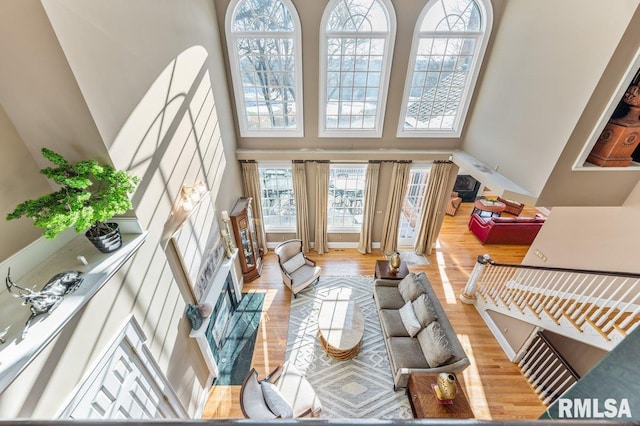 living room featuring wood-type flooring and a high ceiling