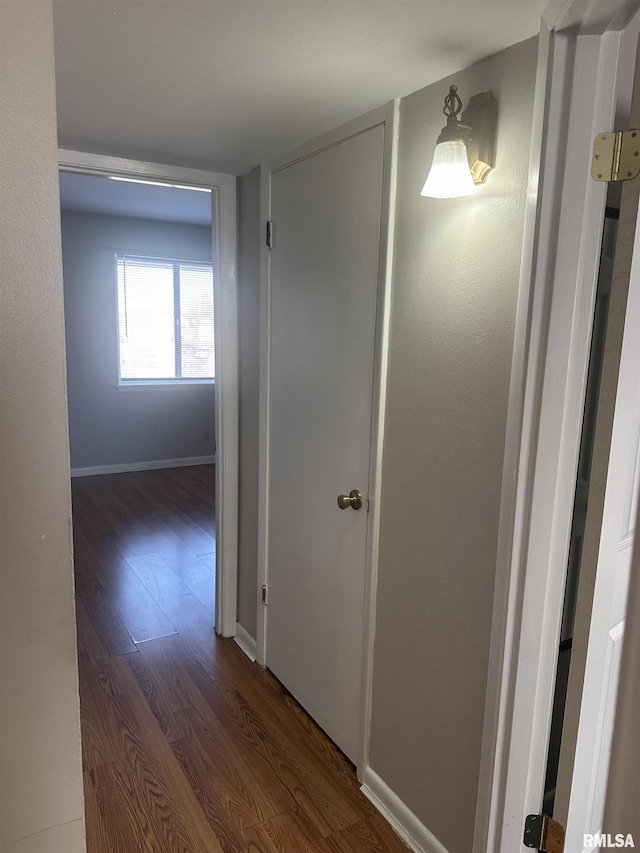 hall featuring dark wood-type flooring