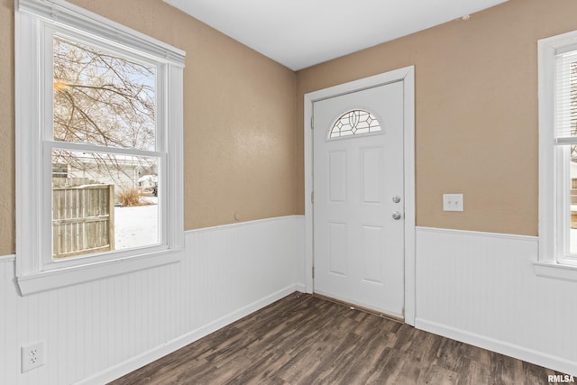 entrance foyer with dark hardwood / wood-style floors