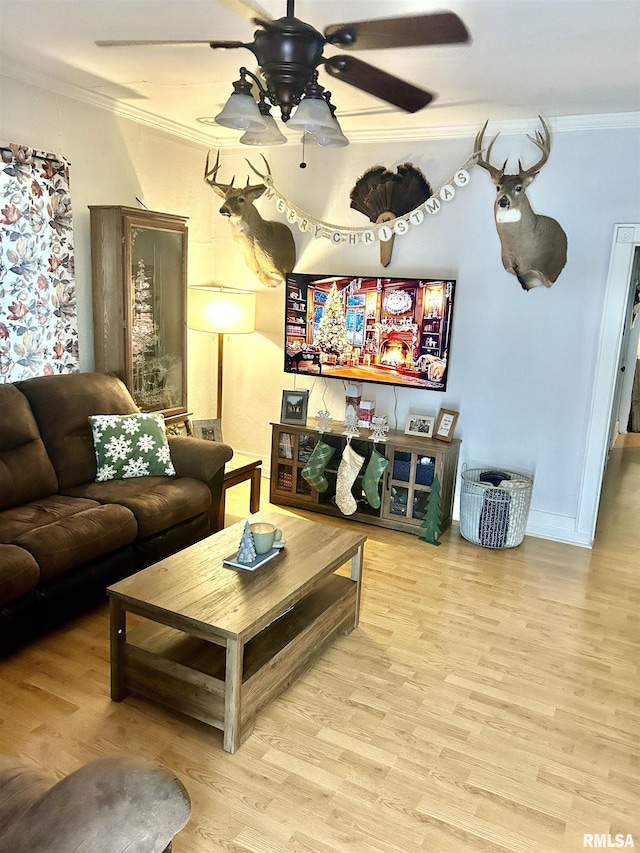 living room with ceiling fan, light wood-type flooring, and ornamental molding