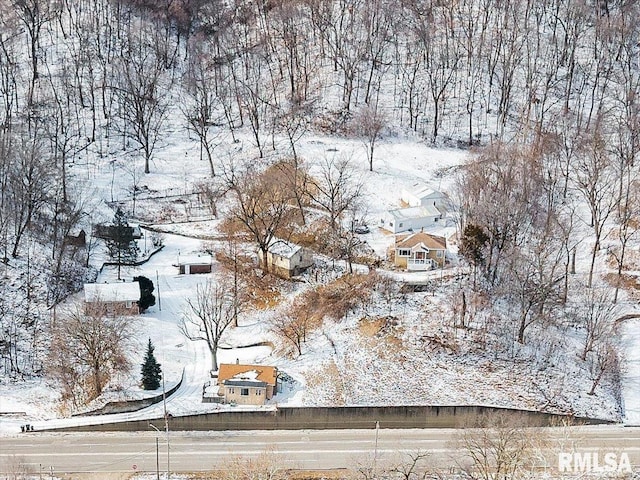 view of snow covered land