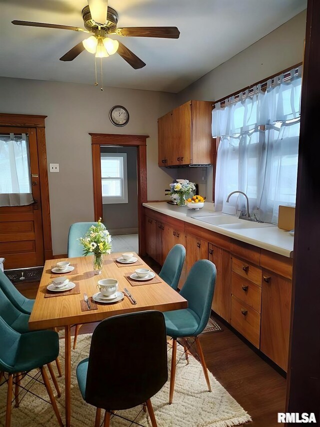 dining area with wood finished floors and a ceiling fan