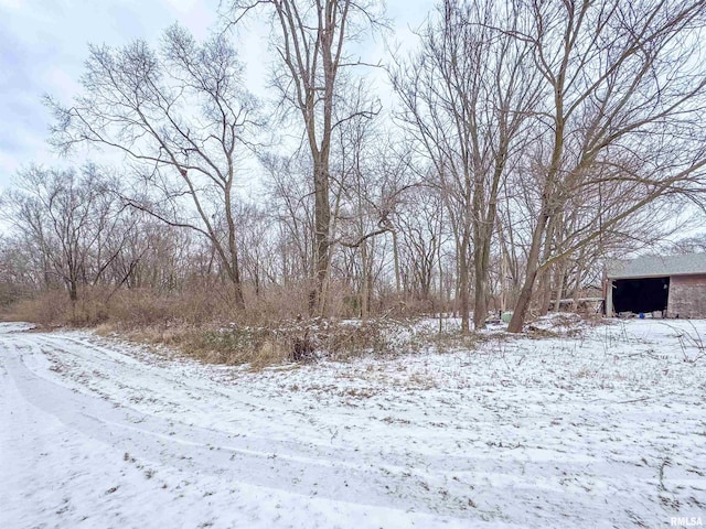 view of snowy yard