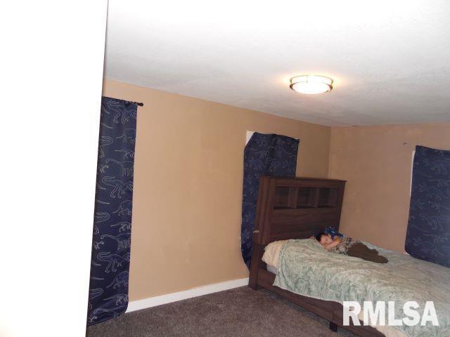 bedroom with carpet floors