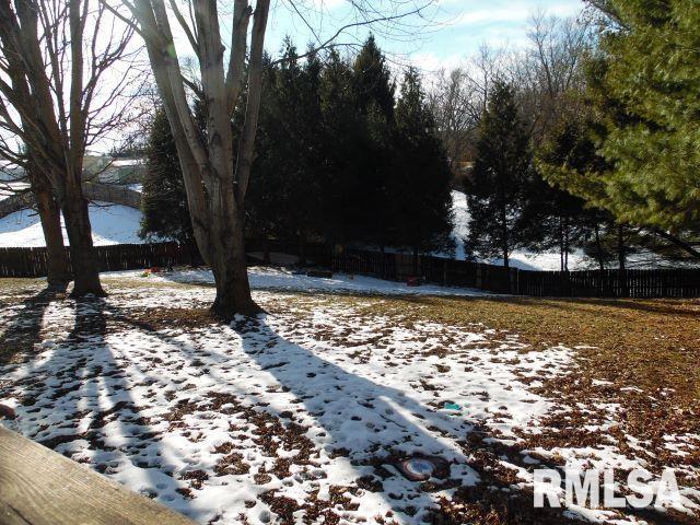 view of snowy yard