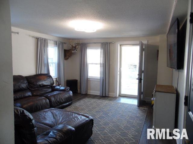 living room with a textured ceiling