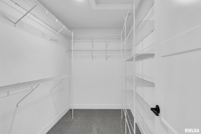 spacious closet with carpet flooring