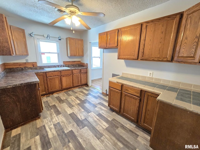 kitchen featuring ceiling fan, sink, a textured ceiling, and wood-type flooring