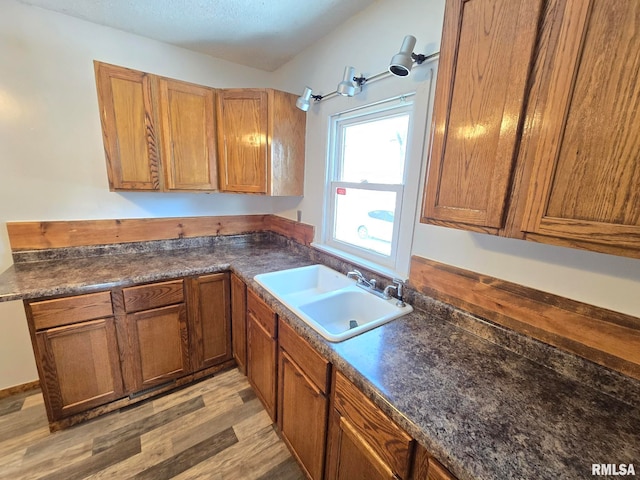 kitchen with wood-type flooring and sink