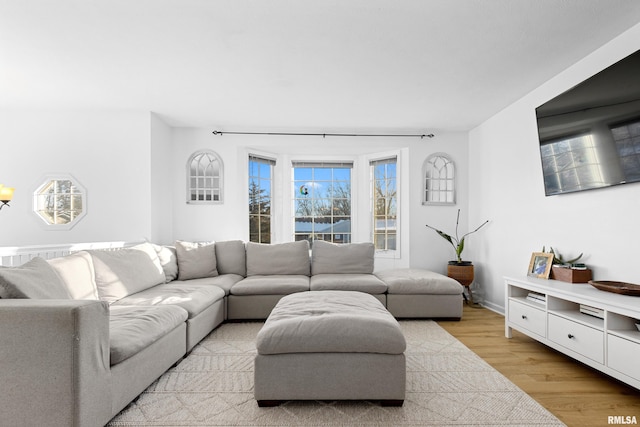 living room with light hardwood / wood-style flooring