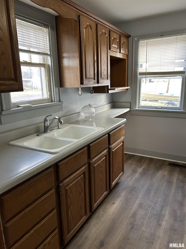 kitchen with sink and dark hardwood / wood-style flooring