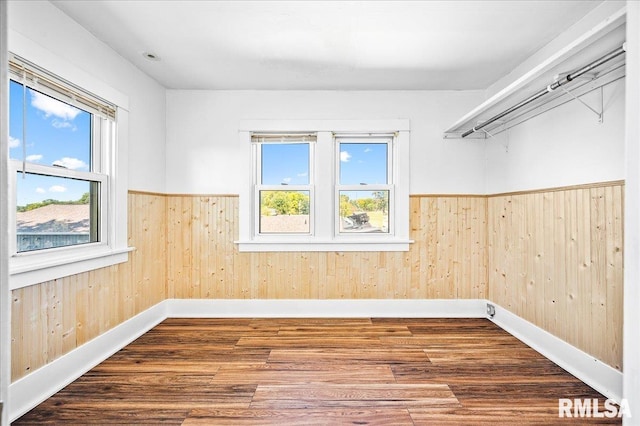 spare room featuring a wealth of natural light and wood walls