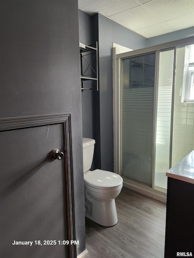 bathroom with vanity, wood-type flooring, toilet, and walk in shower