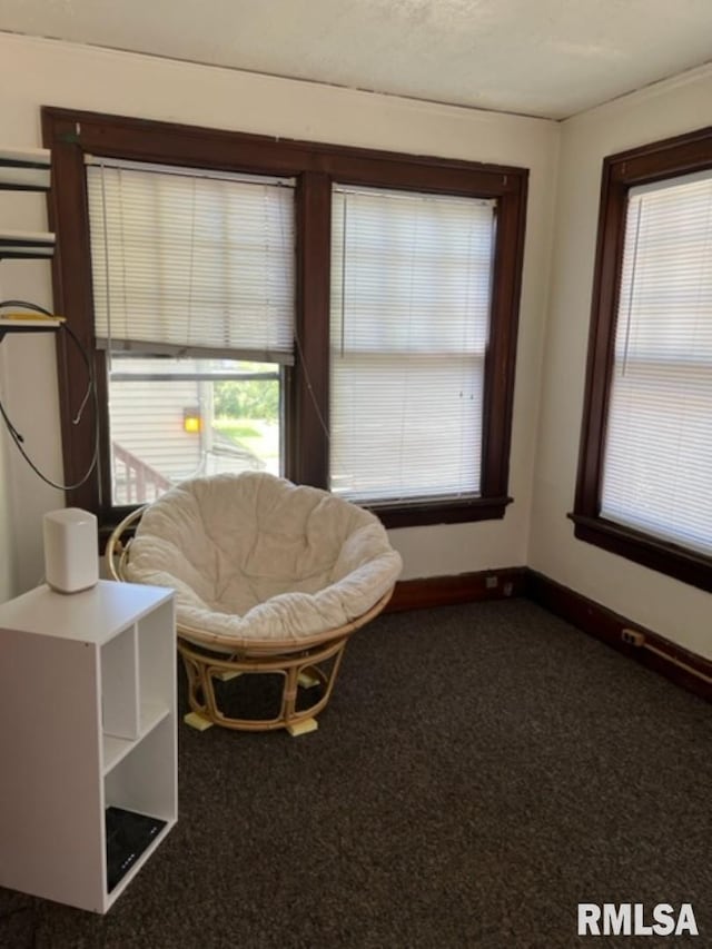 unfurnished room featuring dark colored carpet