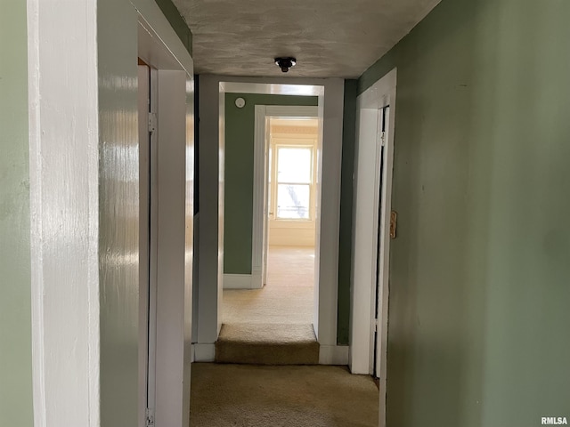 hall featuring light colored carpet