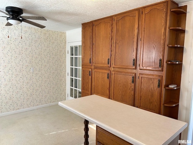 mudroom featuring ceiling fan and carpet floors