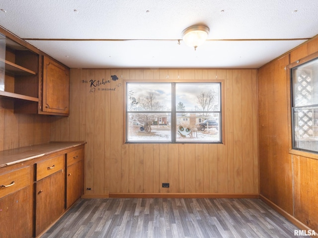 interior space featuring dark hardwood / wood-style floors, wooden walls, and a textured ceiling