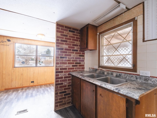 kitchen featuring brick wall, light hardwood / wood-style floors, and sink