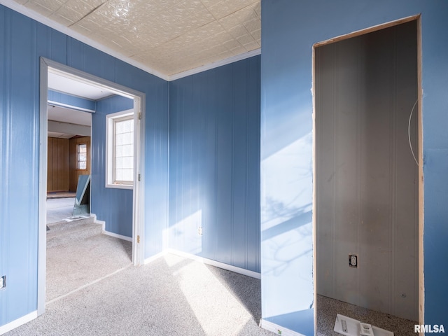 empty room with light carpet and wooden walls