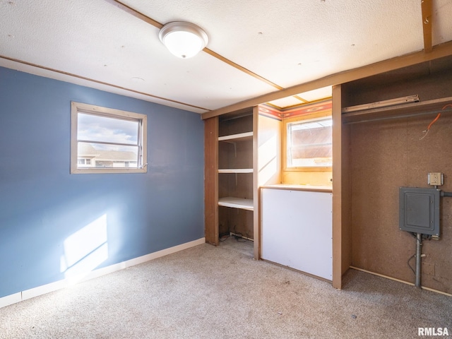 unfurnished bedroom with electric panel and carpet floors