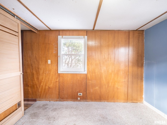 spare room with wood walls and carpet flooring