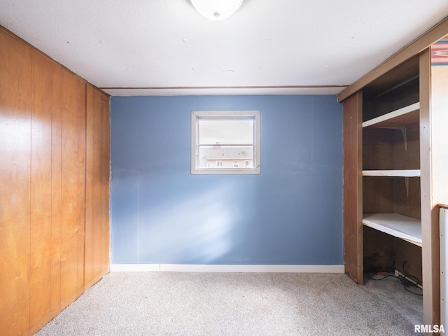 interior space with wood walls